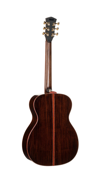Cort Masterpiece Series Abstract Delta A/E Guitar With Case