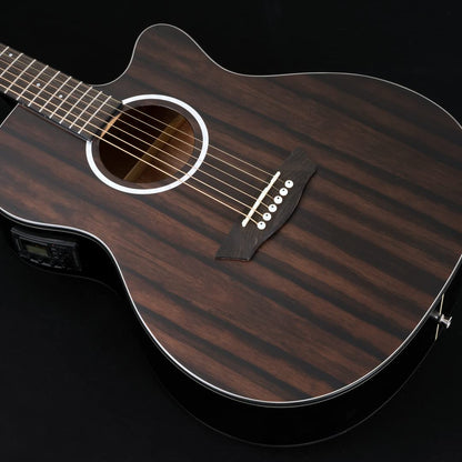 Washburn Electro Acoustic 6 String Guitar, Right, Striped Ebony (DFEACE)