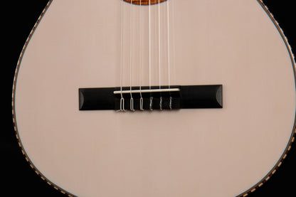 Cort Solencanto Premium Classical Guitar with Case
