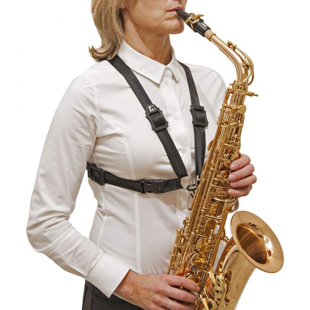 BG(0002698761) Alto Horn, (S44M)