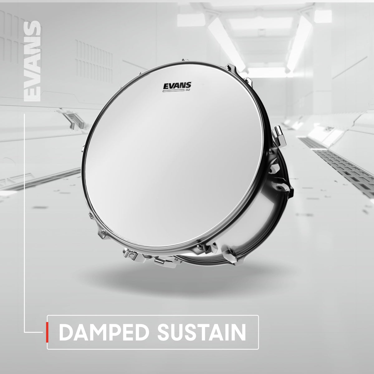 Evans Drum Heads - G2 Coated Tom Drumhead, 8 Inch