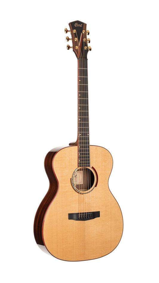 Cort Masterpiece Series Abstract Delta A/E Guitar With Case