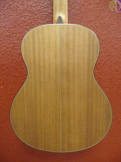Washburn Comfort G-Mini 15S, Acoustic Guitar