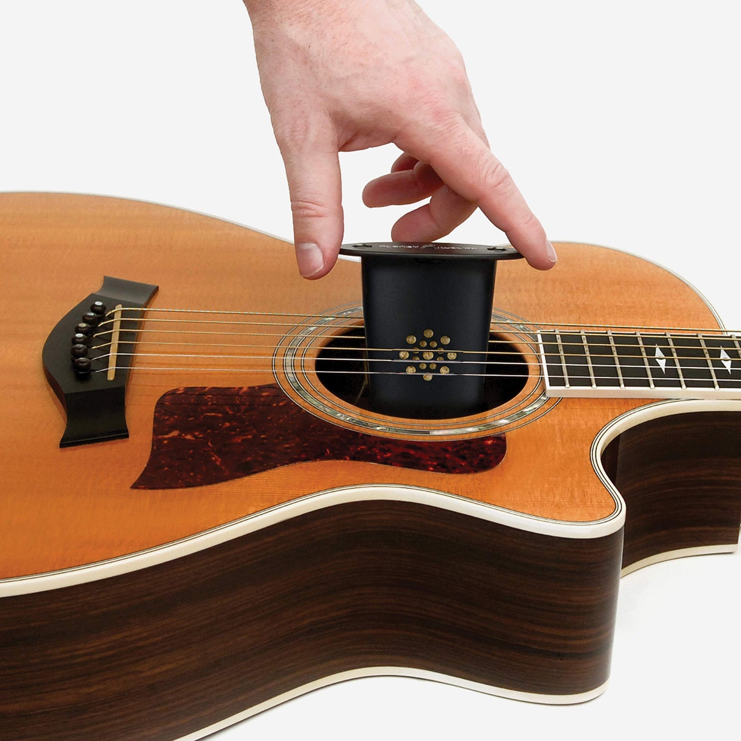 D'Addario Guitar Humidifier - Acoustic Guitar Soundhole Humidifier with Sponge - Non Drip - Suspends from Strings