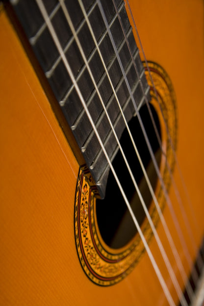 Washburn Classical C5, Acoustic Guitar