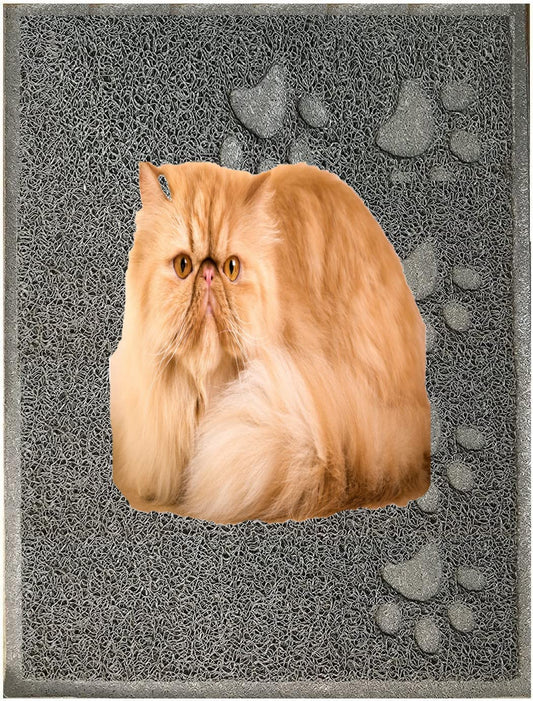Excellent Quality Gray Cat Litter Trap Mat with Non-Slip Backing, Cleans Easy, Dirt Catcher, Soft on Cats Paws