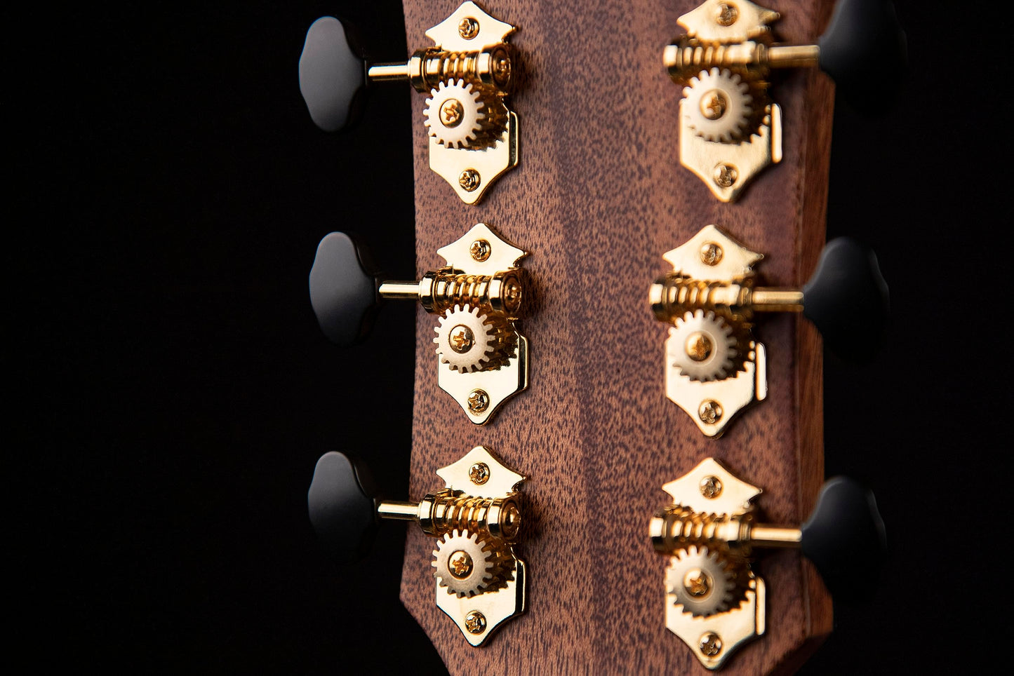 Cort 6 String Acoustic-Electric Guitar, Right, Natural Glossy, Full (GOLDEDGENAT)