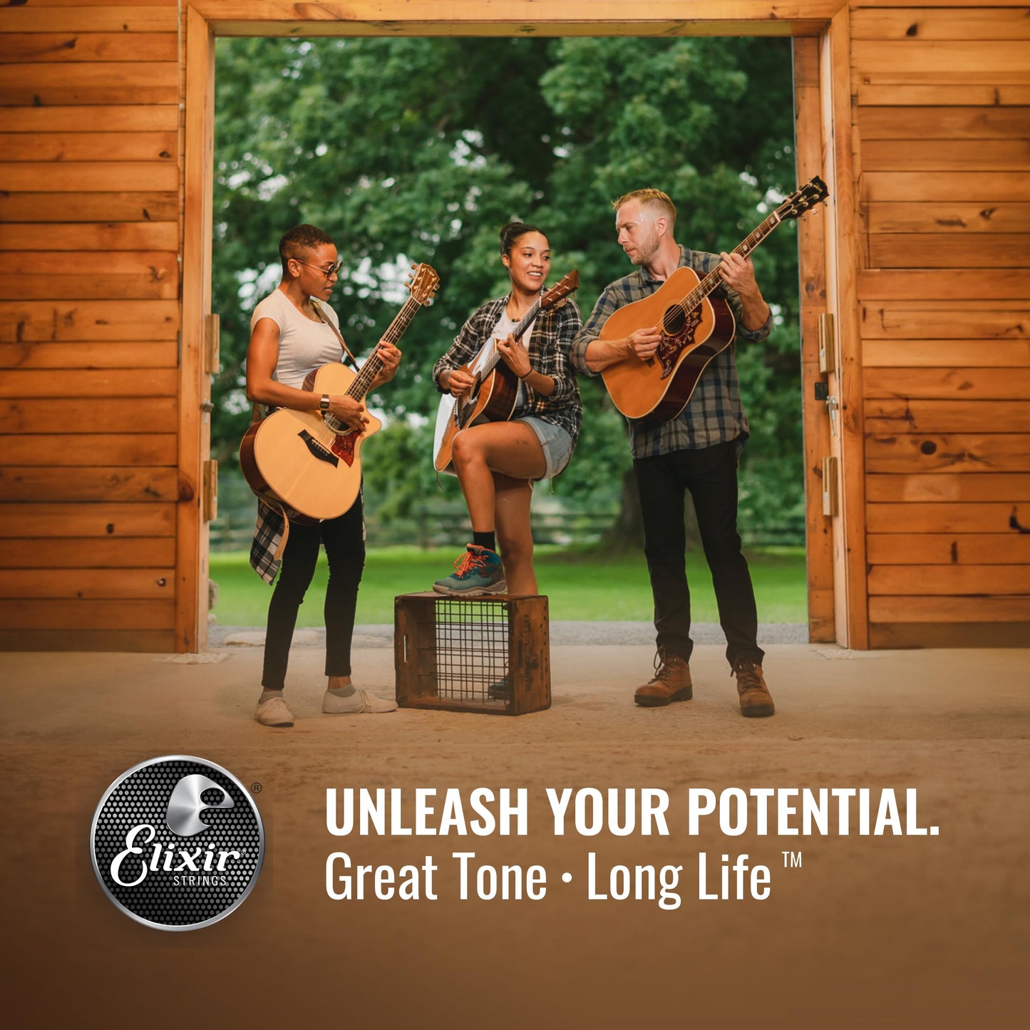 Elixir Strings, Acoustic Guitar Strings