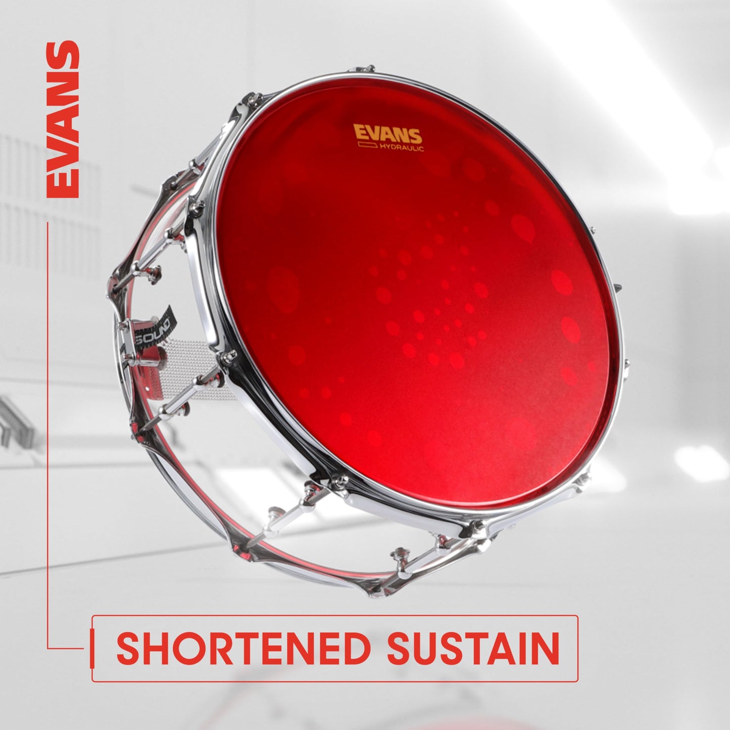 Evans Hydraulic Blue Drumhead