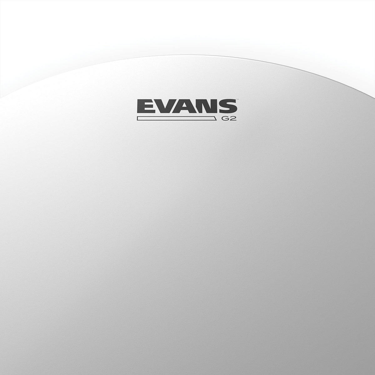 Evans Drum Heads - G2 Coated Tom Drumhead, 8 Inch
