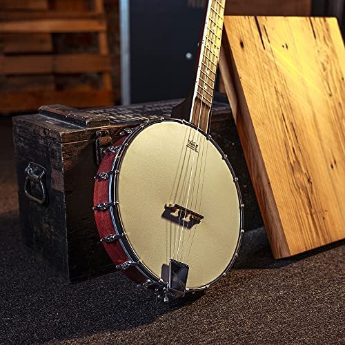Washburn Banjo Series B7 Banjo, Nat