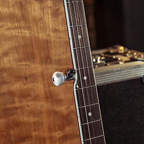 Washburn Banjo Series B7 Banjo, Nat