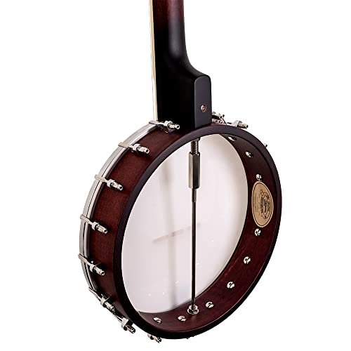 Washburn Banjo Series B7 Banjo, Nat
