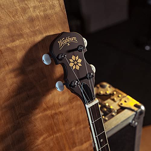 Washburn Banjo Series B7 Banjo, Nat