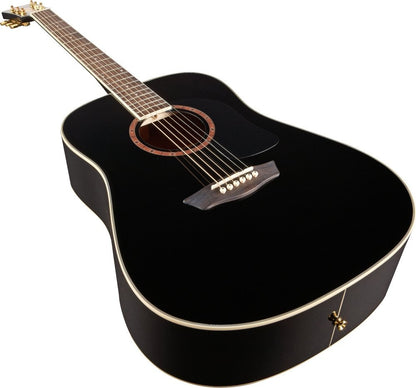 Washburn WD100DL Apprentice Dreadnought Acoustic Guitar