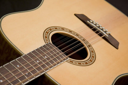 Washburn Harvest D7S